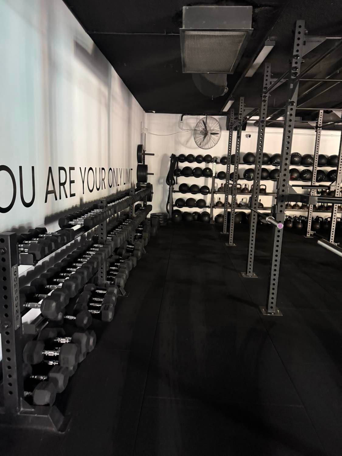 Dumbbell rack and rubber flooring after gym cleaning on the Gold Coast
